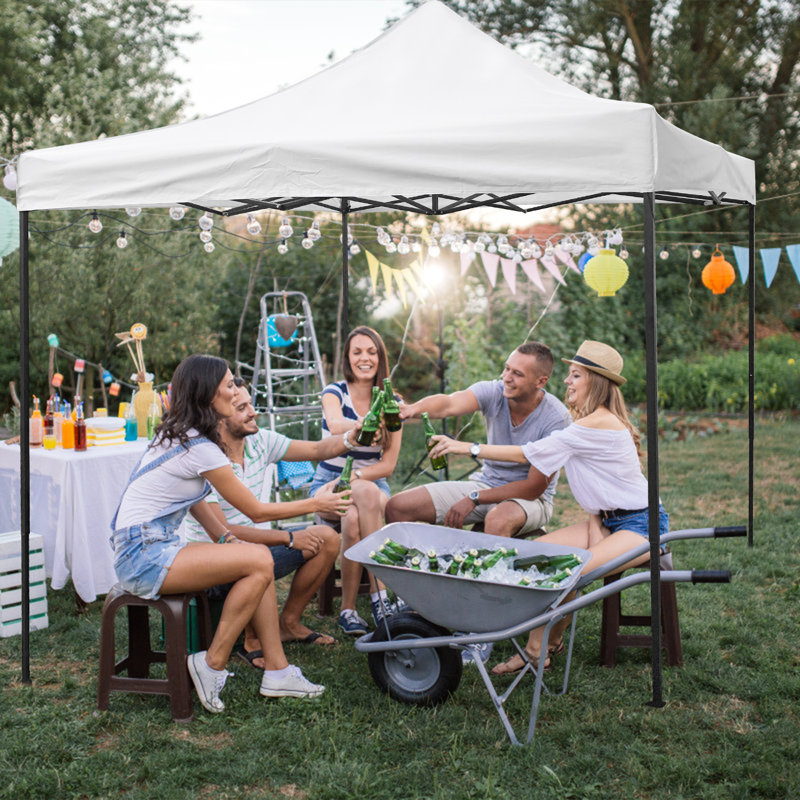 FDW 10 Ft. W x 10 Ft. D Steel Pop Up Canopy Reviews Wayfair Canada